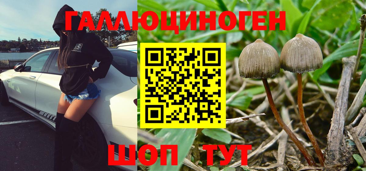 Михайловка  Галлюциногенные грибы мухоморы  Вход с VPN 