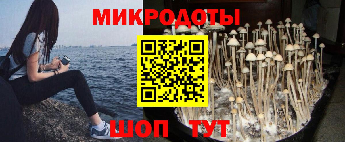 Галлюциногенные грибы мухоморы Михайловка